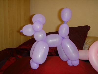 balloonmodels-com_purple_balloon_dog_poodle.jpg